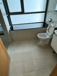 The Infiniti (D5), Condominium #485962891